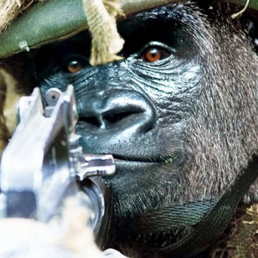 Navy seal Copypasta logo