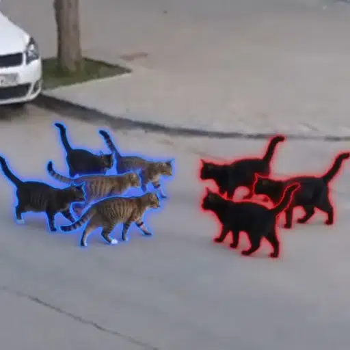 Pussies vs Pussies logo