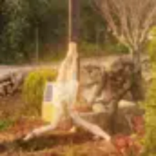 Father Forgive Them logo