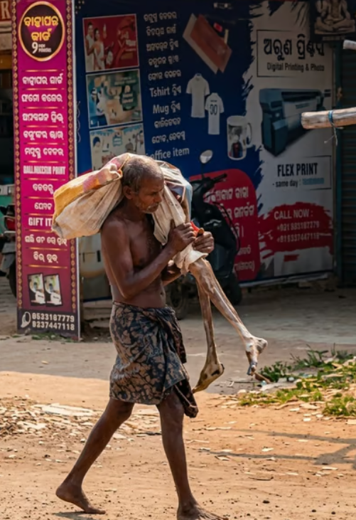 Know Your Corpse logo