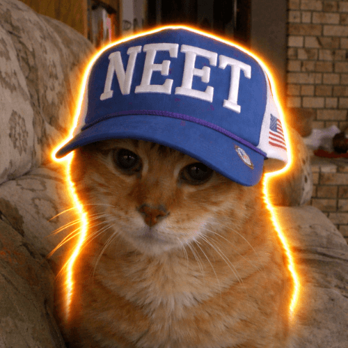 neetcat logo