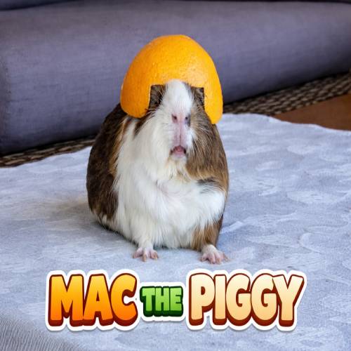 MAC THE PIGGY logo