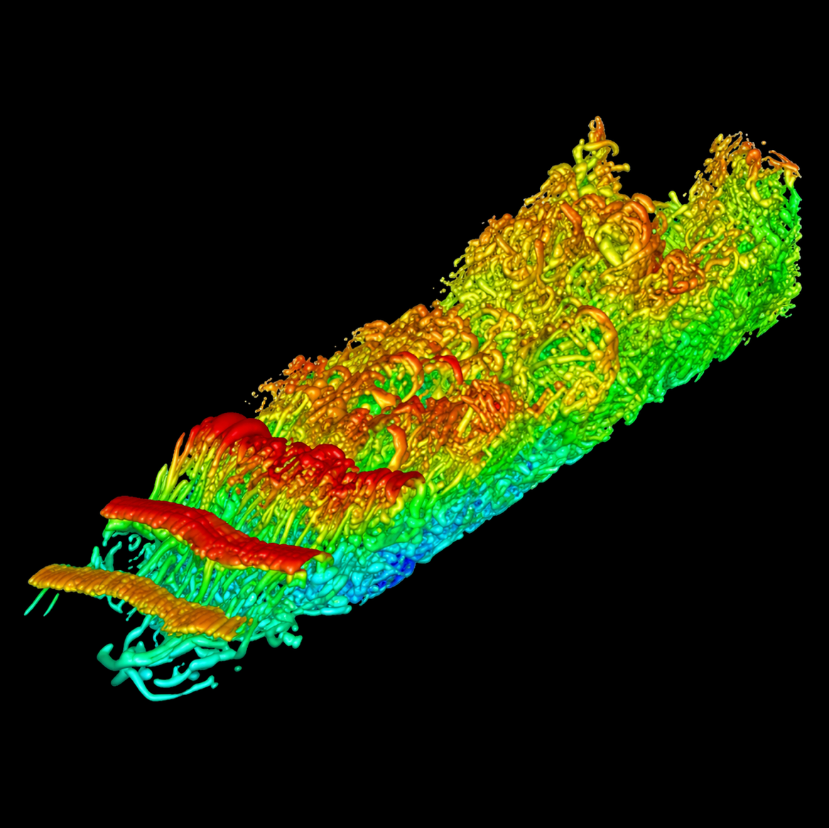 Noah’s Ark Scans logo