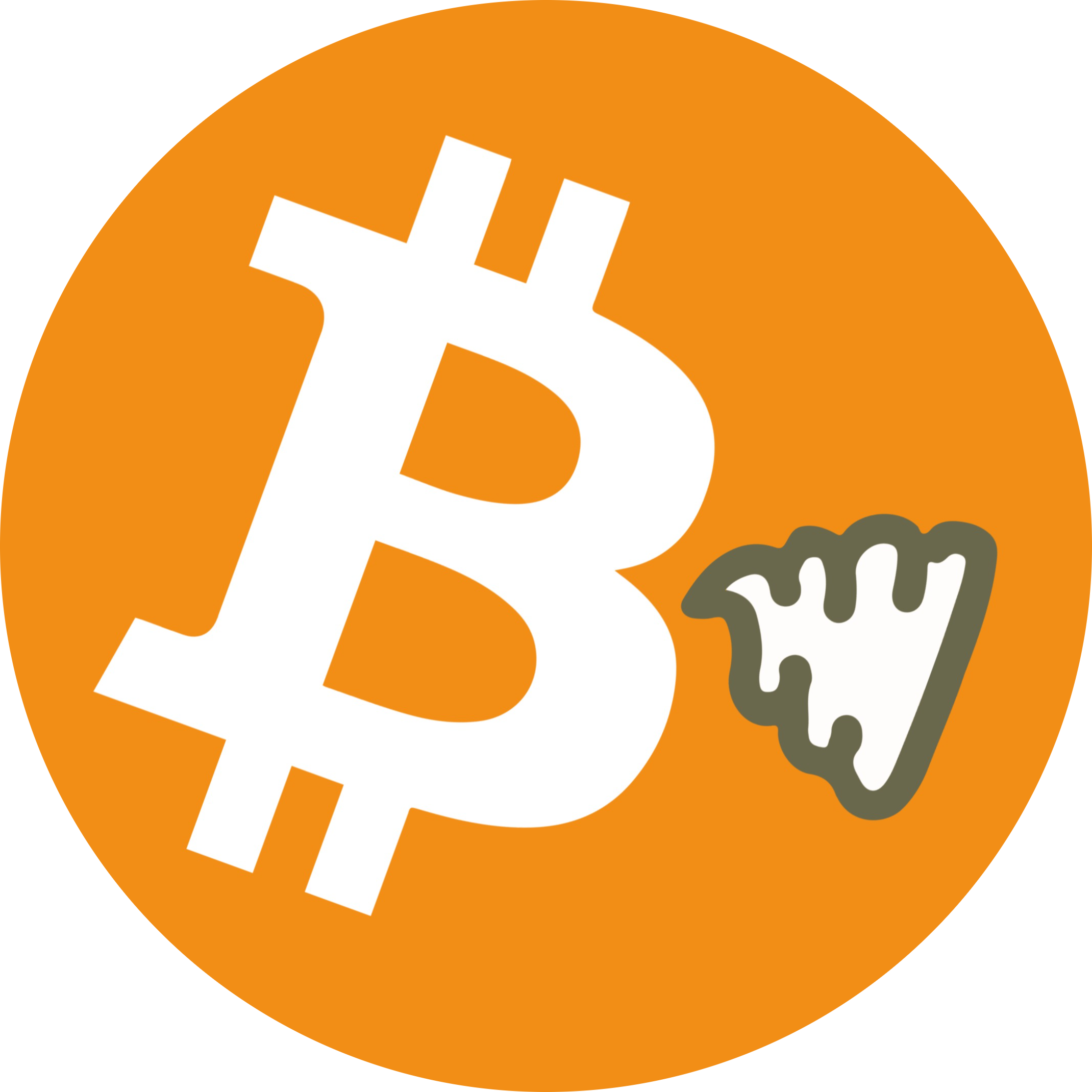 shitcoin logo