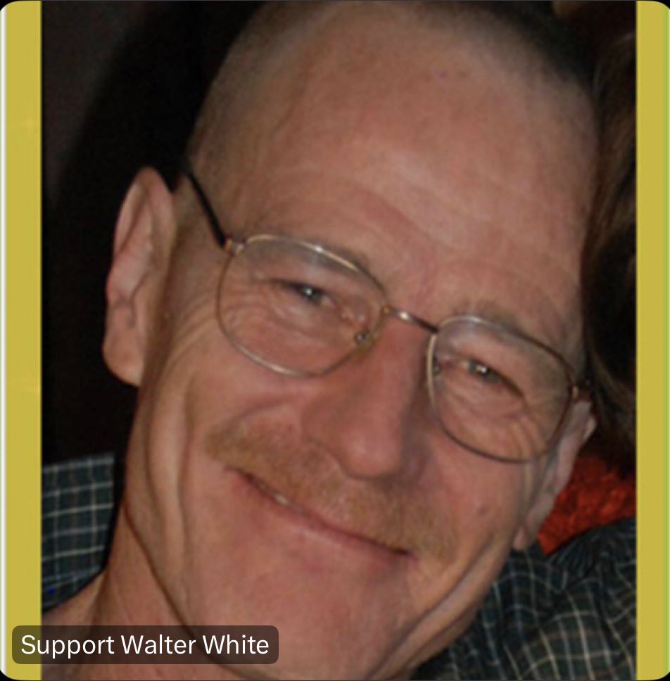support walter white logo