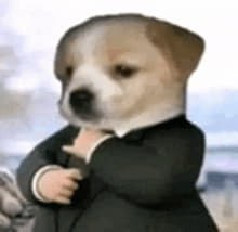 This Is Gentlemen logo