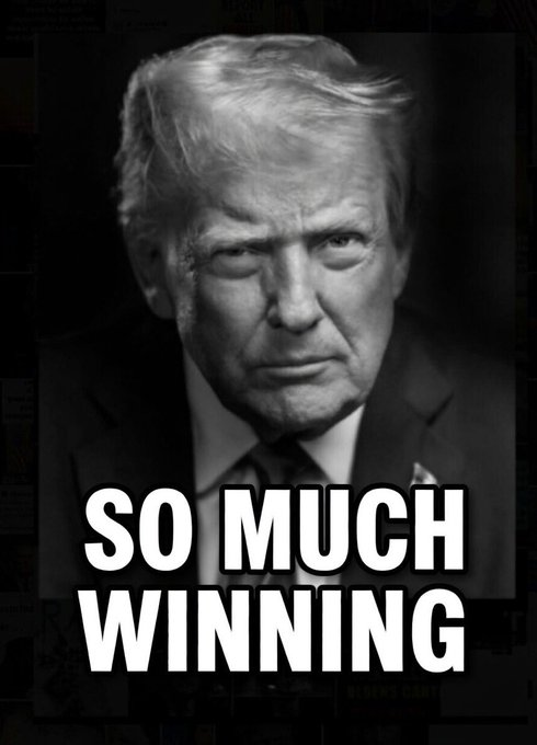 So Much Winning logo