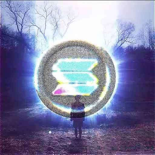 Return to Solana logo