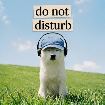 Do Not Disturb logo