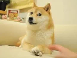 Doge logo
