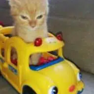 run it back turbo logo