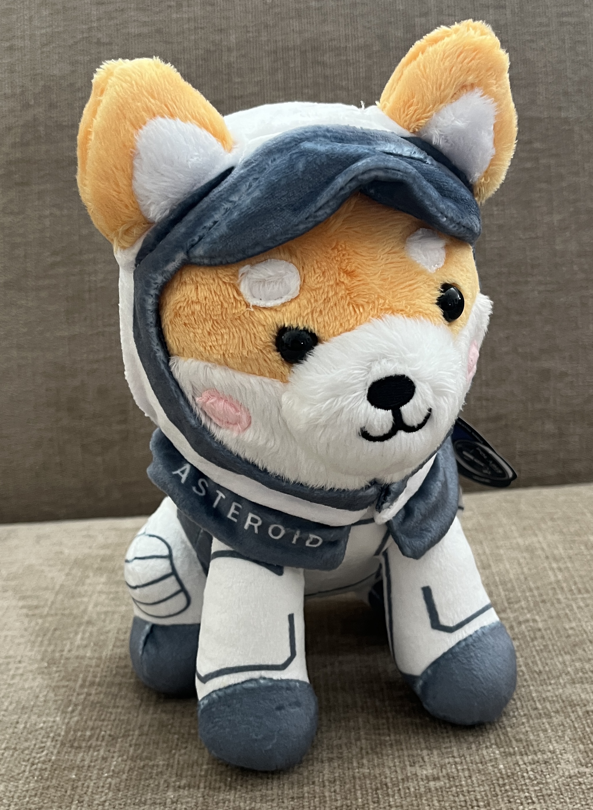 Polaris Dawn Zero-G Indicator logo