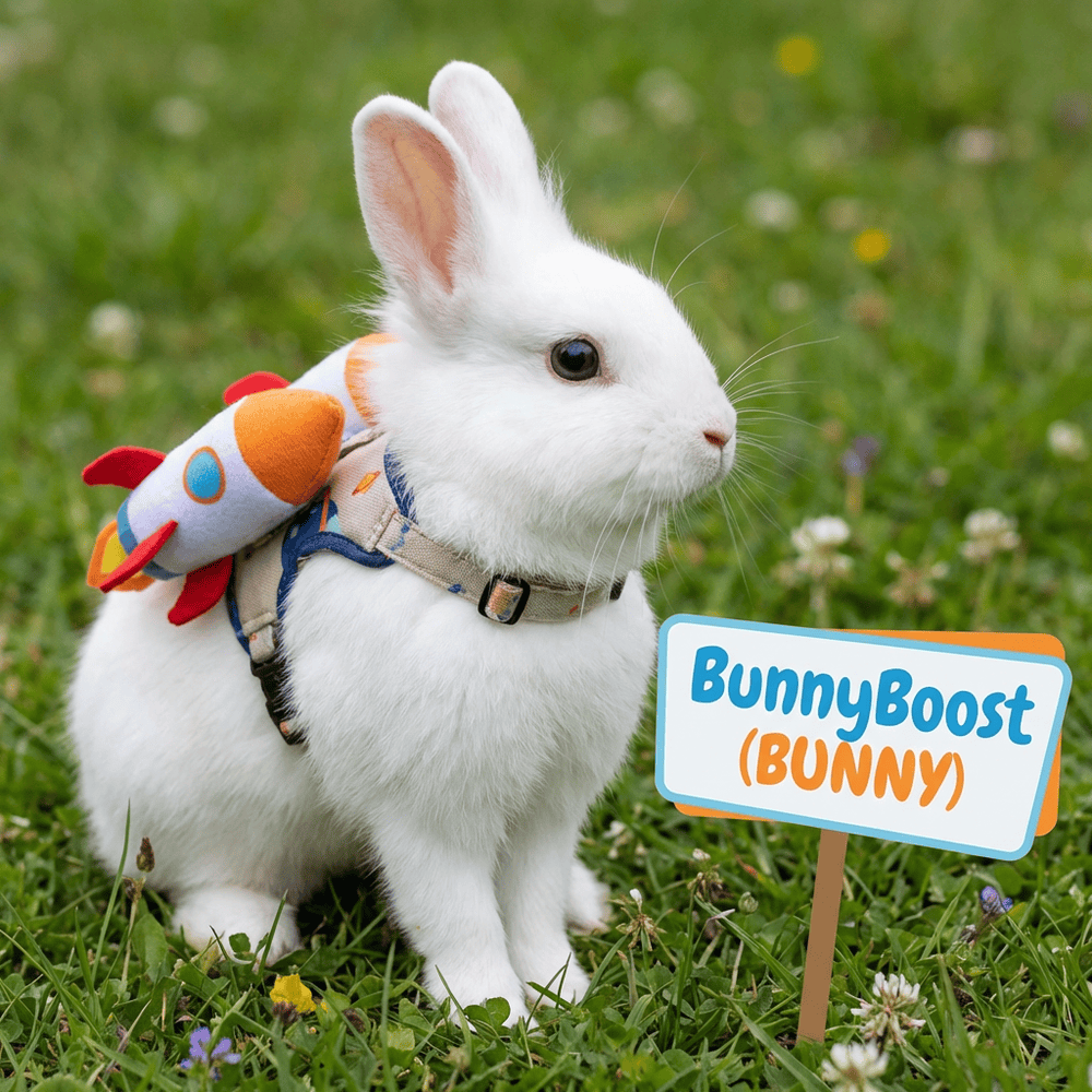 BUNNYBOOST logo