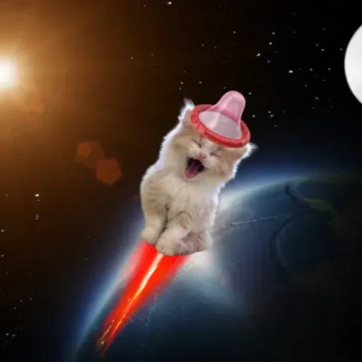 Floating Space Cat logo