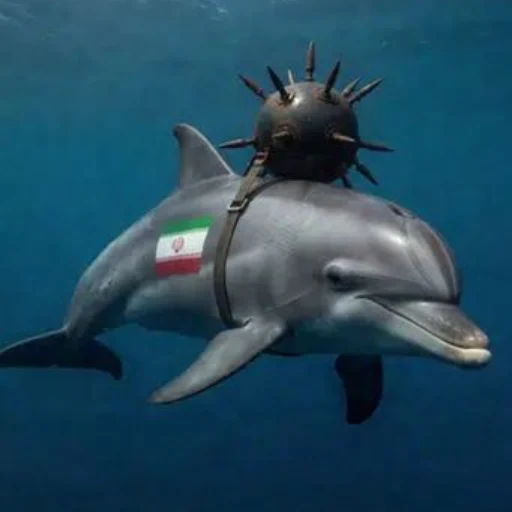 Exploding Swimming Dolphin logo
