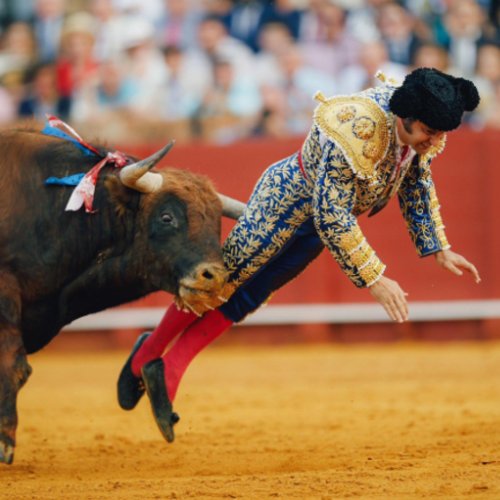 The Bull Rapes The Matador logo