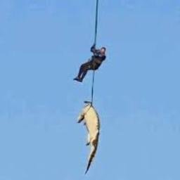 Killer Flying Croc logo