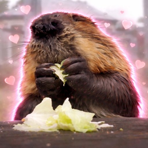 Beaver Biting Cabbage logo